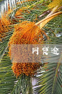 网贷逾期会发到村委么 网贷逾期会发到村委么