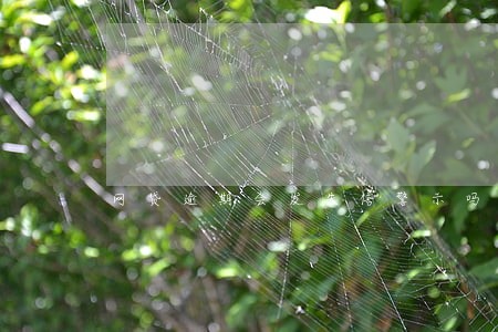 网贷逾期会发失信警示吗 网贷逾期会发失信警示吗