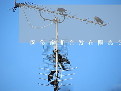 网贷逾期会发布限高令吗 网贷逾期会发布限高令吗