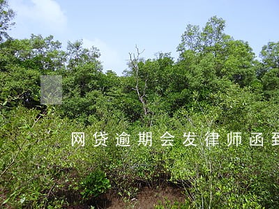 网贷逾期会发律师函到户籍地吗