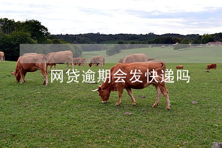 网贷逾期会发快递吗 网贷逾期会发快递吗