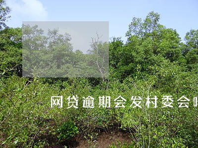 网贷逾期会发村委会吗 网贷逾期会发村委会吗