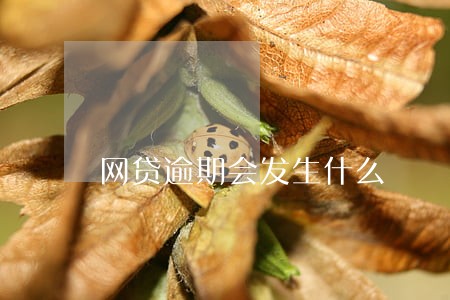网贷逾期会发生什么 网贷逾期会发生什么