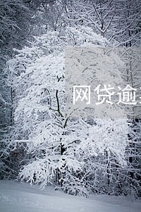 网贷逾期会发送函件 网贷逾期会发送函件