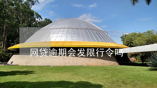 网贷逾期会发限行令吗 网贷逾期会发限行令吗