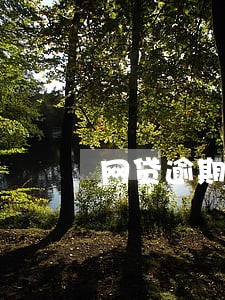 网贷逾期会取消分期吗 网贷逾期会取消分期吗