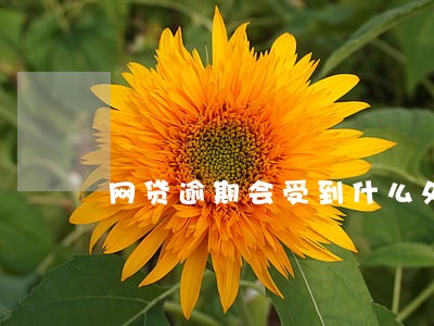 网贷逾期会受到什么处理 网贷逾期会受到什么处理