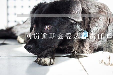网贷逾期会受法律责任吗 网贷逾期会受法律责任吗