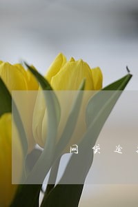 网贷逾期会向法院申请限消吗 网贷逾期会向法院申请限消吗
