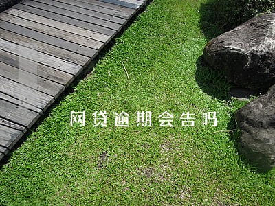 网贷逾期会告吗 网贷逾期会告吗