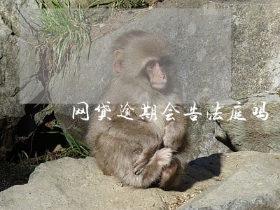 网贷逾期会告法庭吗 网贷逾期会告法庭吗