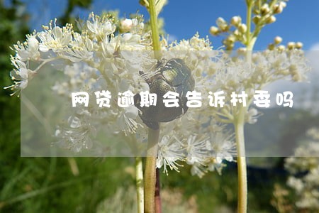 网贷逾期会告诉村委吗 网贷逾期会告诉村委吗