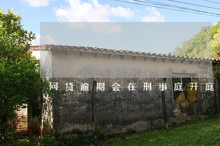 网贷逾期会在刑事庭开庭吗 网贷逾期会在刑事庭开庭吗