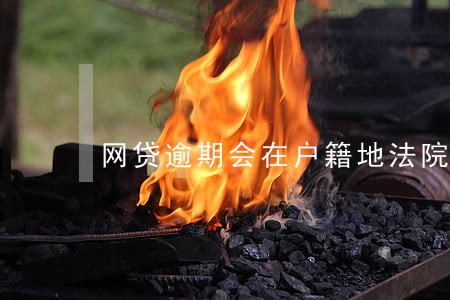 网贷逾期会在户籍地法院起诉吗 网贷逾期会在户籍地法院起诉吗