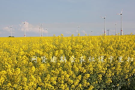 网贷逾期会在社保卡里扣钱吗