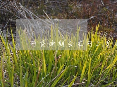网贷逾期会在网上发布p图 网贷逾期会在网上发布p图
