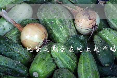 网贷逾期会在网上起诉吗 网贷逾期会在网上起诉吗