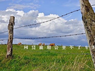 网贷逾期会坐不了车吗 网贷逾期会坐不了车吗