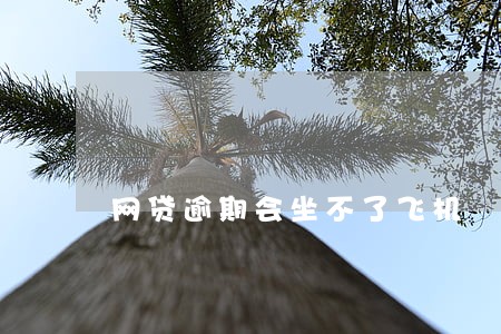 网贷逾期会坐不了飞机 网贷逾期会坐不了飞机