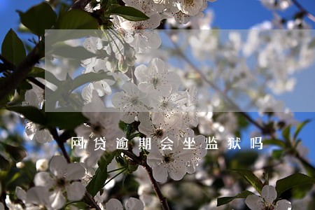 网贷逾期会坐监狱吗