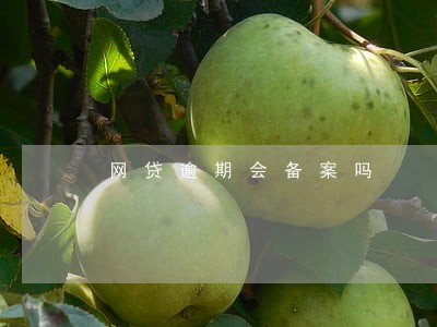 网贷逾期会备案吗 网贷逾期会备案吗
