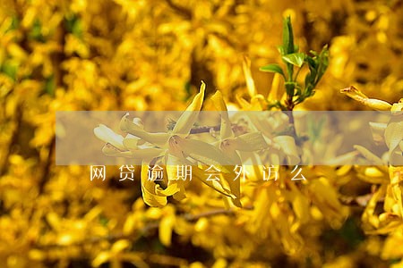 网贷逾期会外访么 网贷逾期会外访么