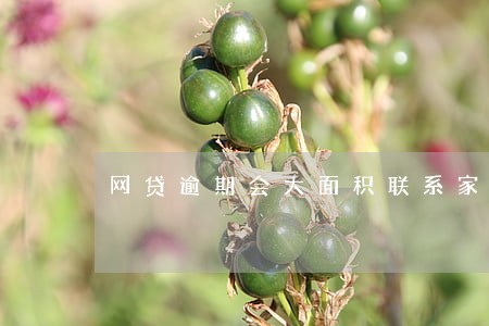网贷逾期会大面积联系家里人 网贷逾期会大面积联系家里人