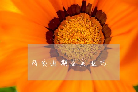 网贷逾期会失业吗 网贷逾期会失业吗