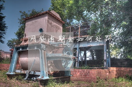 网贷逾期会如何处罚