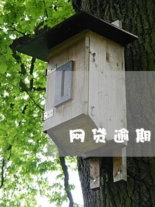 网贷逾期会委托居委会查吗 网贷逾期会委托居委会查吗