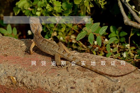 网贷逾期会实地取证吗 网贷逾期会实地取证吗