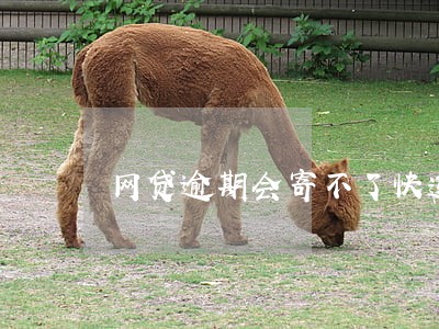 网贷逾期会寄不了快递吗 网贷逾期会寄不了快递吗