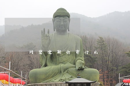 网贷逾期会寄什么 网贷逾期会寄什么
