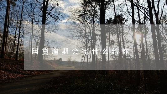 网贷逾期会寄什么给你 网贷逾期会寄什么给你
