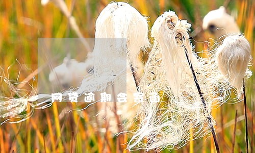 网贷逾期会寄函 网贷逾期会寄函