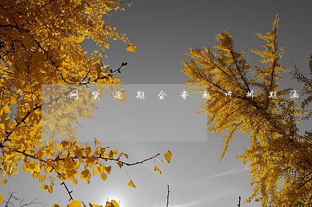 网贷逾期会寄起诉排期涵吗