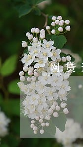 网贷逾期会寄邮件去派出所吗