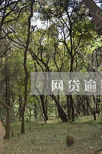 网贷逾期会对孩子上学有影响吗 网贷逾期会对孩子上学有影响吗