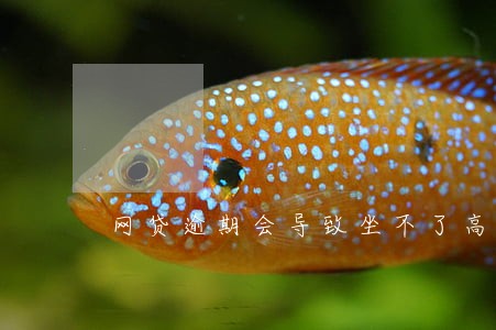网贷逾期会导致坐不了高铁吗 网贷逾期会导致坐不了高铁吗