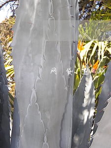 网贷逾期会导致银行卡异常吗