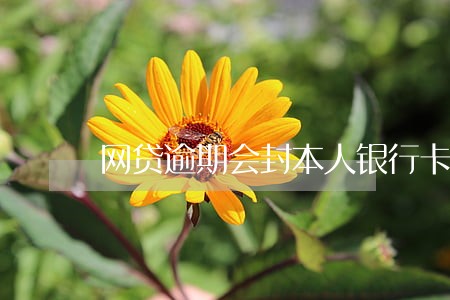 网贷逾期会封本人银行卡 网贷逾期会封本人银行卡