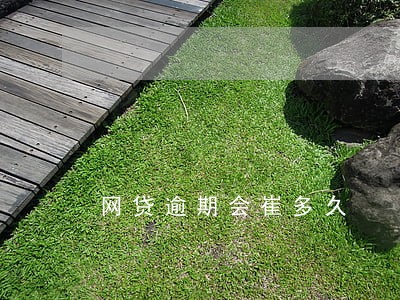 网贷逾期会崔多久 网贷逾期会崔多久