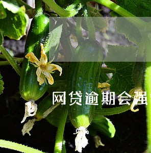 网贷逾期会强制扣钱吗 网贷逾期会强制扣钱吗