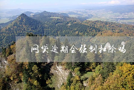 网贷逾期会强制扣除吗 网贷逾期会强制扣除吗