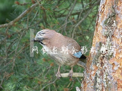 网贷逾期会形象信用卡吗 网贷逾期会形象信用卡吗