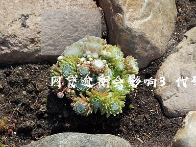 网贷逾期会影响3代码