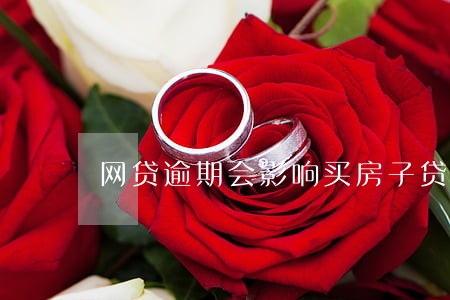 网贷逾期会影响买房子贷款吗 网贷逾期会影响买房子贷款吗