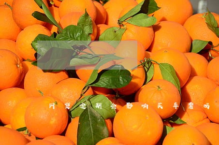 网贷逾期会影响买车票吗 网贷逾期会影响买车票吗