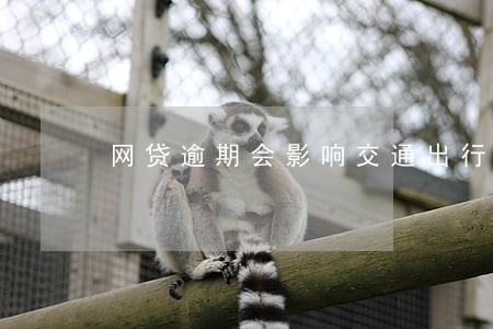 网贷逾期会影响交通出行吗 网贷逾期会影响交通出行吗