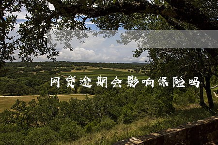 网贷逾期会影响保险吗 网贷逾期会影响保险吗